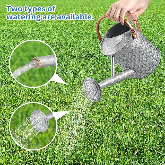 1 Gallon Metal Watering Can for Outdoor Indoor Plants, Galvanized Watering Can with Removable Spray Spout, Ideal for Garden Watering