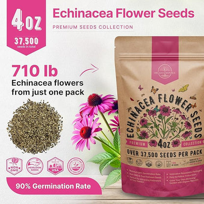 Organo Republic Echinacea Seeds Pack 4 oz - Over 37,500 Non-GMO Heirloom Echinacea Seeds for Planting, Perennial Flowers in Individual Packet, Coneflower for Planting Indoor & Outdoors