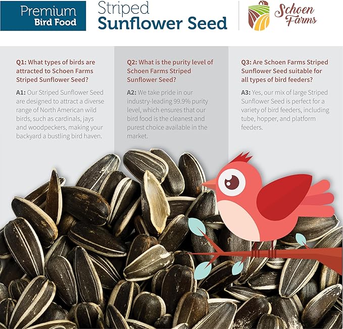 Schoen Farms Striped Sunflower Seeds – Hulled Wild Bird Food – 6 lb Bag – Premium Bird Seed for Cardinals, Jays & Finches