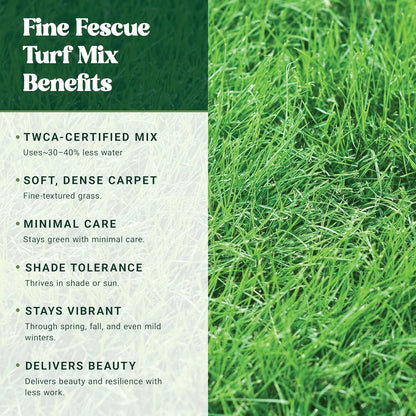 Nature’s Seed Fine Fescue Turf Grass Seed Mix Blend, Shade-Tolerant, Low Water, Cool-Season, for Garden, Lawn, Yard, 5 Lbs