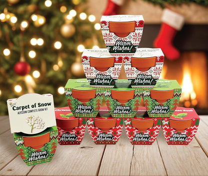 BUZZY Seeds Holiday Mini Terracotta Pots Grow Kit, 12-Pack Assorted Christmas Basil, Spruce, and Alyssum Seed Packets, Indoor Plant Starter Set, Stocking Stuffers, Party Favors