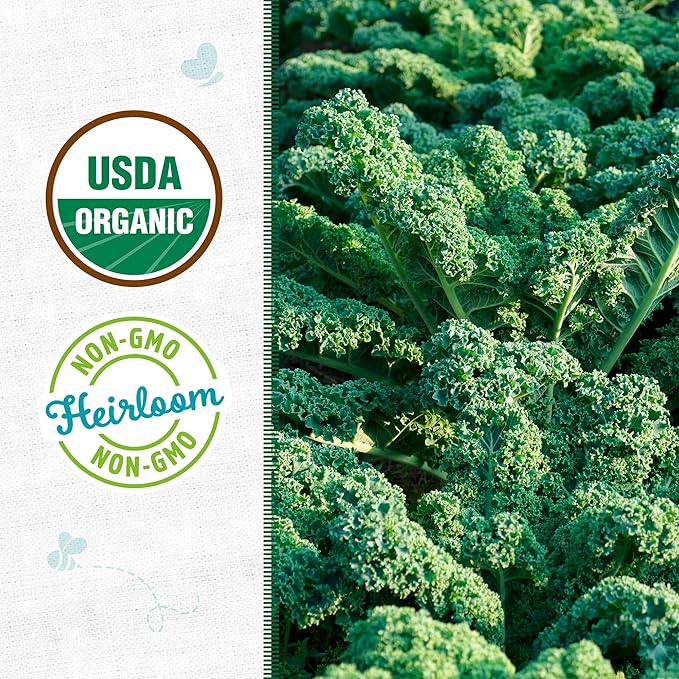 Back to The Roots 100% Organic Heirloom Seeds - Kale Value Pack (840mg Total)