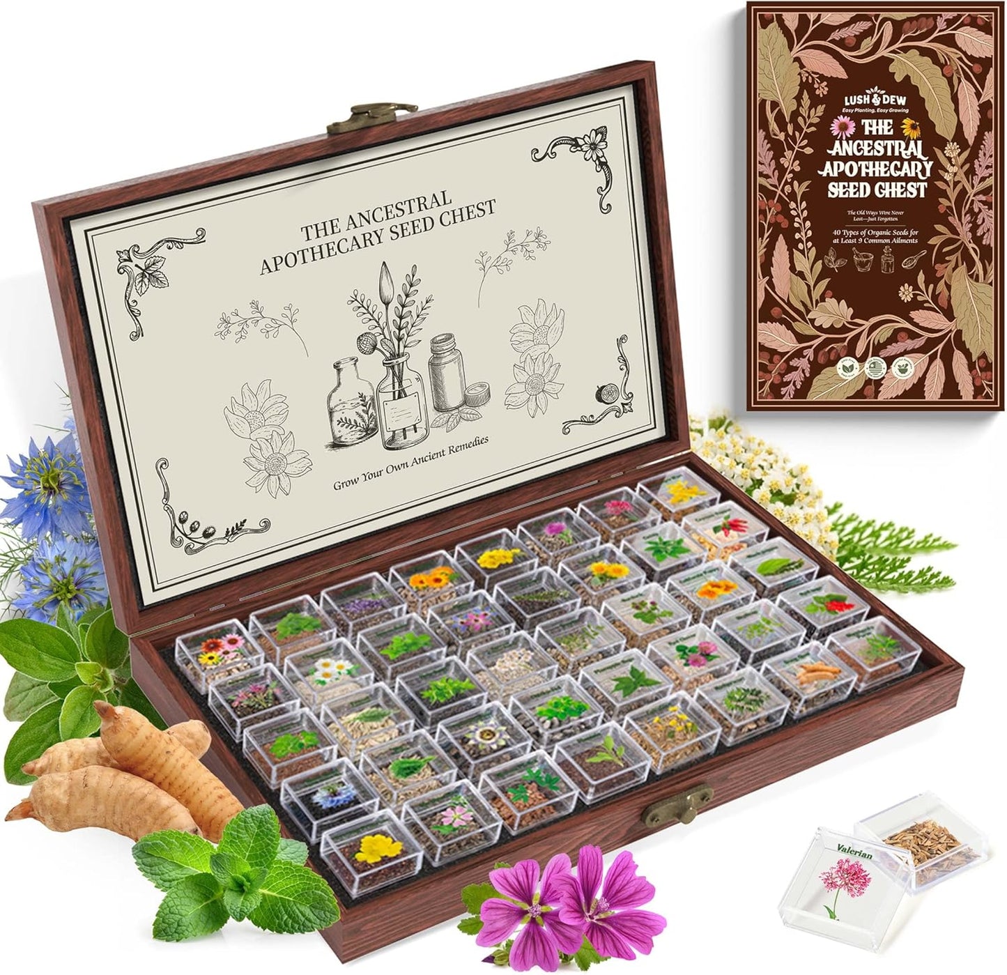 LUSH&DEW Medicinal Herb Apothecary Seed Chest, 40 Varieties 38,000+ Non-GMO Heirloom Seeds for Planting Herbs Hydroponics Windowsill, Gardening Gifts for Herbalists, Seed Kit for Herbal Tea Tinctures