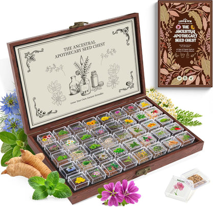 LUSH&DEW Medicinal Herb Apothecary Seed Chest, 40 Varieties 38,000+ Non-GMO Heirloom Seeds for Planting Herbs Hydroponics Windowsill, Gardening Gifts for Herbalists, Seed Kit for Herbal Tea Tinctures