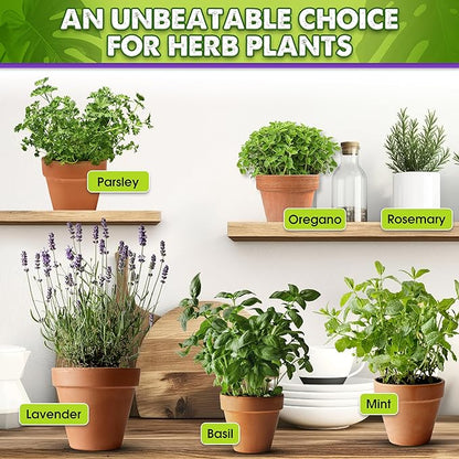 DUSPRO Recycle Pre-Mixed House Plant Potting Mix 7in1 with Potting Soil Indoor Plants, Tropical Indoor Potting Soil with Pine Bark, Pumice, Coco Coir, Perlite, Worm Castings, Gypsum, Peat Moss 1QRT