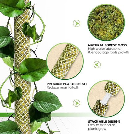DUSPRO Stackable Mesh Moss Pole for Plants Monstera Potted Plant Stakes for Indoor Plants Extendable Plant Pole Moss Sticks for Plants Climbing Vine Supporting Monstera Trellis 4Pack 71''
