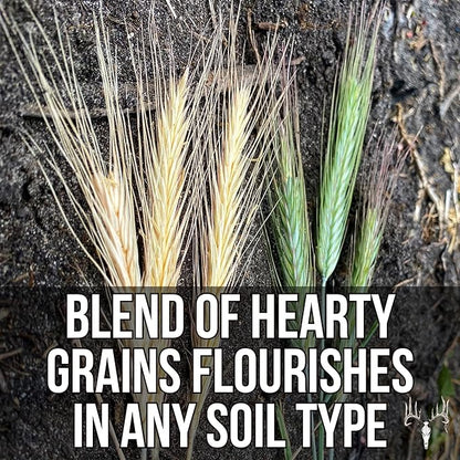 Crooked Bend Last Resort Blend, 50LB Bulk, Winter Food Plot Seed for Deer, Cereal Grain Rye, Wheat, Barley, Triticale & Oat Seeds Grow Whitetail & Turkey Attractants & Cold Hardy Hunting Food Plots