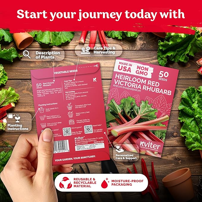 KVITER 50 Red Victoria Rhubarb Seeds for Planting (Rheum Rhabarbarum) – Organic & Heirloom Seeds, Perennial Vegetable Seeds – Perfect for Rhubarb Jam & Pies, Grow in Beds & Outdoor Garden