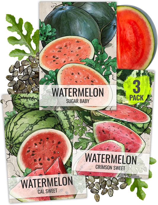 Seed Needs Watermelon Seeds for Planting Fruits - Non-GMO Heirloom & Untreated Water Melon Seed to Plant an Outdoor Home Grown Garden - Collection/Seed Kit (3 Packs)