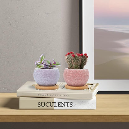 3 inch Ceramic pots for Plants, Small Succulent Pots Set with Drainage, 6 Pack Flower Pot for Indoor Plant, Planters for Little or mini Cactus 2 inches Plants (Pink/Purple)