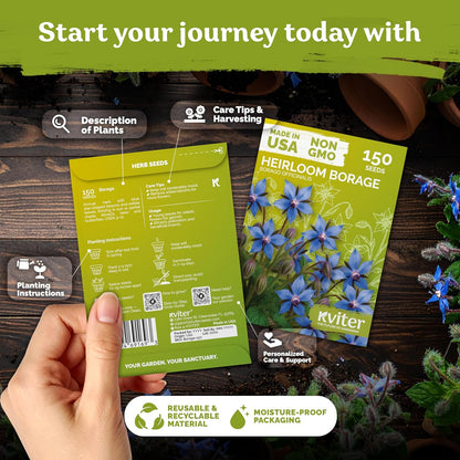 KVITER 150 Borage Seeds (Borago officinalis) - Blue Strawflower, Edible Flower for Teas, Attracts Pollinators - Organic & Heirloom Herb Seeds for Planting in Outdoor & Indoor Garden, Beds, Containers