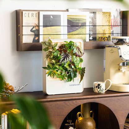 Indoor Garden Hydroponic System with LED Grow Light Indoor herb Garden, Indoor Garden Hydroponic System with LED Grow Light (Gery)