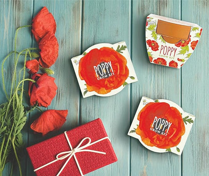 BUZZY Seeds 12-Pack Poppy Grow Kit – Mini Terracotta Pots with Poppy Seeds and Growing Medium – Bulk Gardening Gifts, Wedding Favors, Classroom Activities, and Party Favor Flower Kits