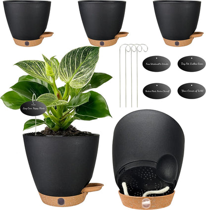 6 Inch Self Watering Pots for Indoor Plants (5-Pack) – Small Plastic Planters with Water Window, Drainage Holes & Trays, Indoor Outdoor Flower Pots for Herbs, Succulents, Home Garden Decor (Black)
