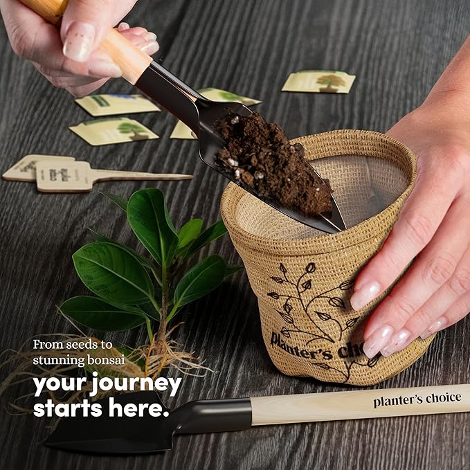 Planter's Choice Bonsai Tree Starter Kit - Unique Gifts for Women, Men - Christmas Gifts for Adults - Indoor Live House Plants - DIY Crafts for Adults Craft Kits - Hobby Gift for Gardening Lovers