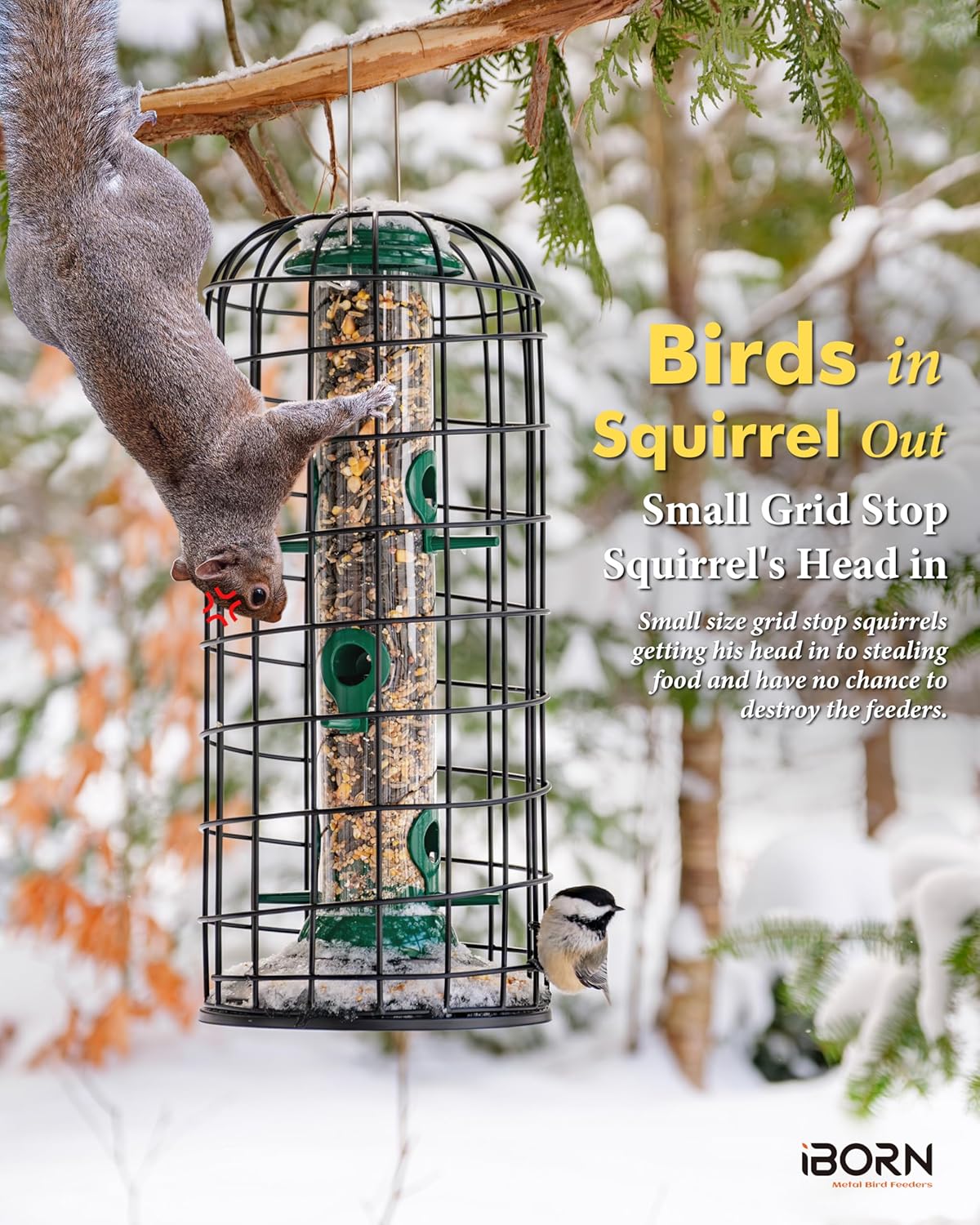 iBorn Squirrel Proof Pigeon Proof Bird Cage for Outside with Squirrel, Pestoff Hanging Wild Bird Seed Feeder for Mix Seed Blends, Heavy Duty All Metal Green 14 Inch