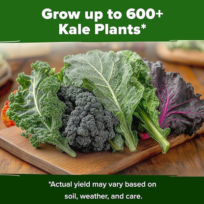 HOME GROWN 𝗨𝗦𝗔 𝗣𝗥𝗘𝗠𝗜𝗨𝗠 Heirloom Vegetable Seeds 𝗡𝗢𝗡-𝗚𝗠𝗢 Vegetable Seeds for Planting Home Garden, Beans, Carrots, Peppers, Cucumber, Kale, Pepper Seeds, Tomato (4 Kale)