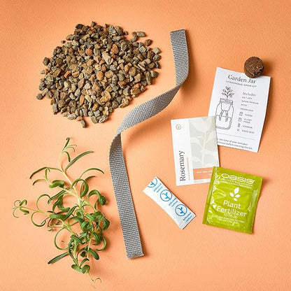 Modern Sprout Glass Jar Grow Set, Indoor Herb Garden, Seed Starter Set, Organic, Non-GMO, Rosemary