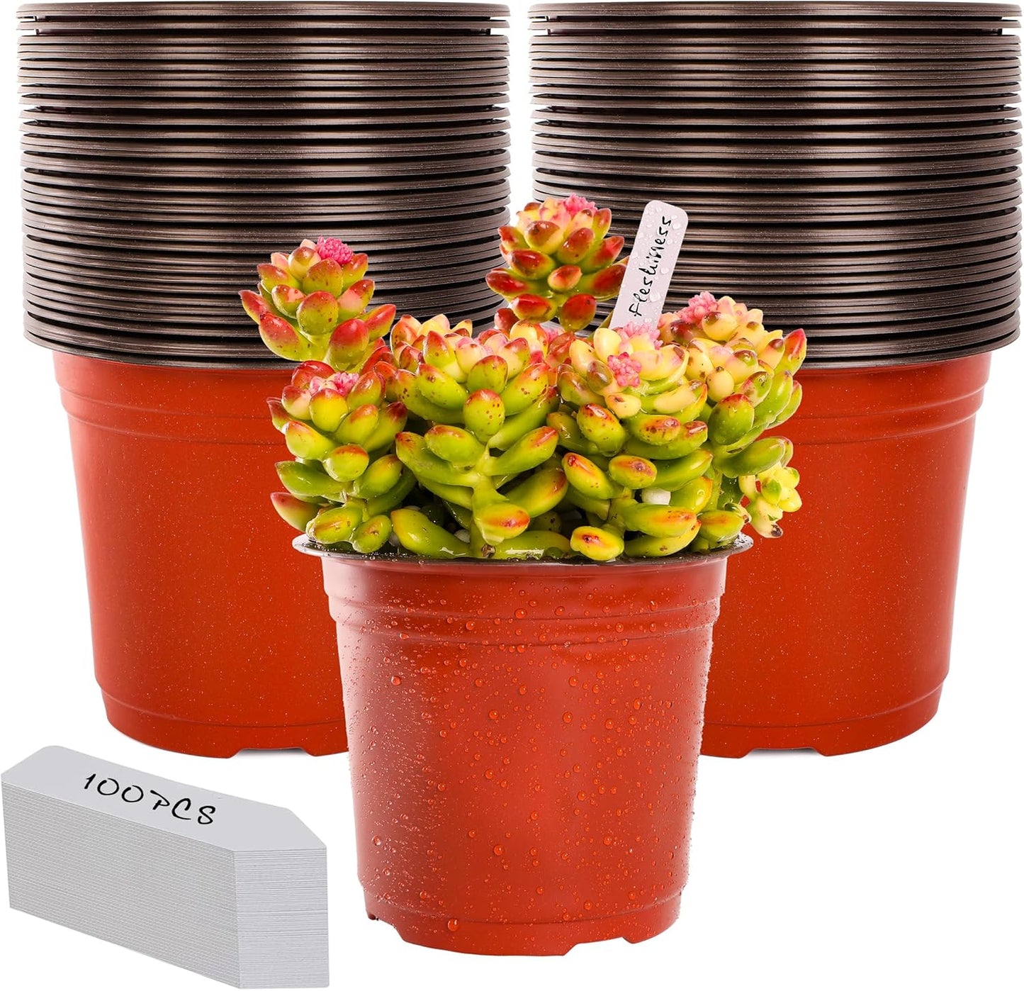 TDHDIKE 6 Inch Plastic Plant Nursery Pots (100pcs Pots and 100pcs Plant Labels) Seedling Flower Plant Container (Red) Seed Starting Pots Indoor/Outdoor