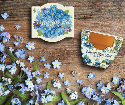 BUZZY Seeds Mini Terracotta Pots 12-Pack Daydream Forget-Me-Not Flowers, All-in-One Seed Starter Kit for Kids and Adults, Indoor Outdoor Gardening Gift, Wedding Favors, Seeds for Planting Flowers
