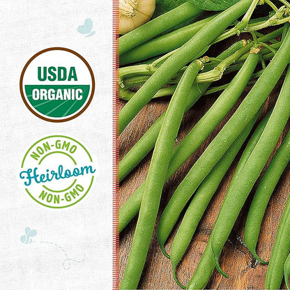 Back to The Roots 100% Organic Heirloom Seeds - Kentucky Green Bean Value Pack (16.8g Total)