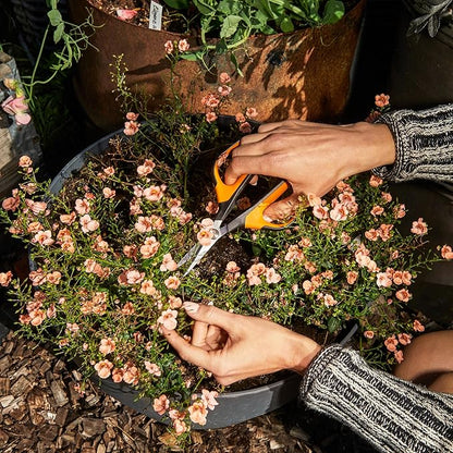 Fiskars Comfort Loop Micro-Tip Pruning Snips - 7" Garden Shears with Sheath and Extra Large SoftGrip Handle - Yard and Garden Tools - Orange/Black