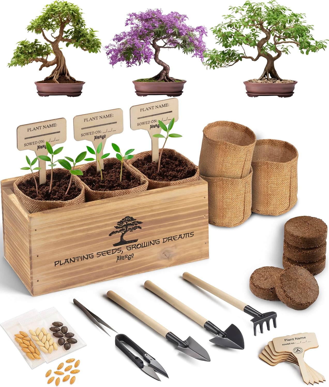 Avergo Bonsai Tree Kit – 3X Unique Japanese Bonzai Trees | Complete Indoor Starter Kit for Growing Bonsai Plants with Tools & Planters – Gardening Gifts for Women & Men