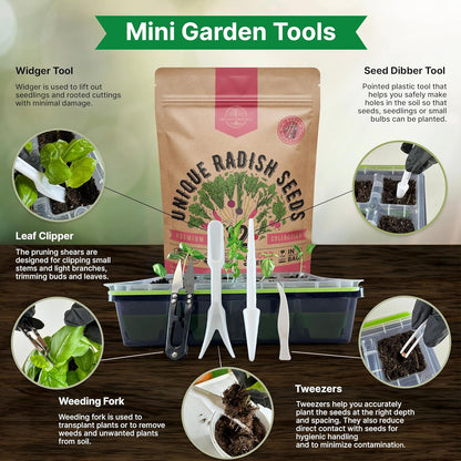 Organo Republic 12 Radish Seeds Variety Pack for Indoor & Outdoors 2400+ Heirloom Non-GMO Radish Garden Seeds: Daikon, Cherry Belle, French, Breakfast, Champion, Purple, Watermelon Radishes Seeds