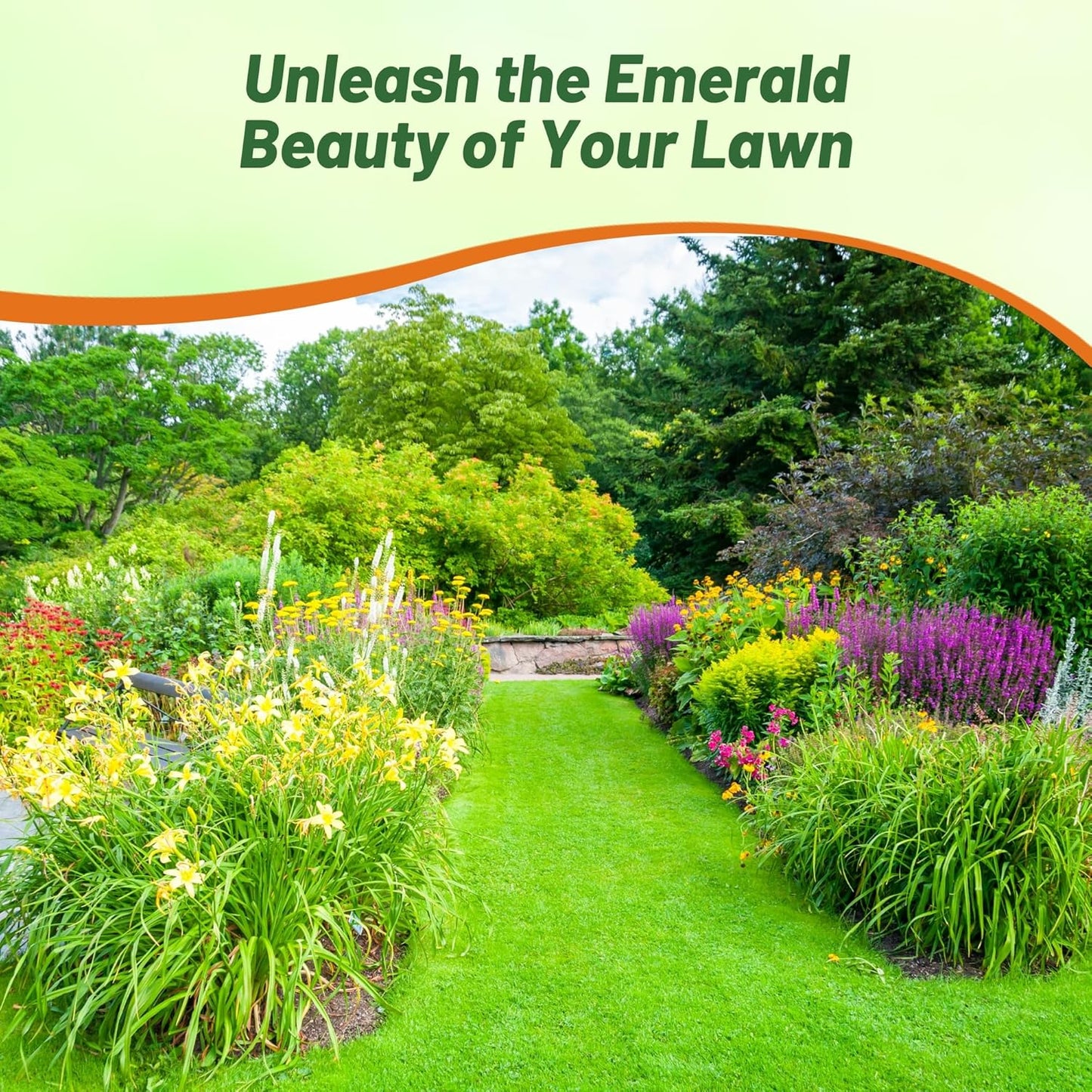 Outsidepride Legacy Fine Fescue Grass Seed Mix - 50 lbs. Shade & Sun Tolerant Blend of Hard Fescue, Chewings Fescue & Creeping Red Fescue with OptiGrowth Coating for Better Establishment