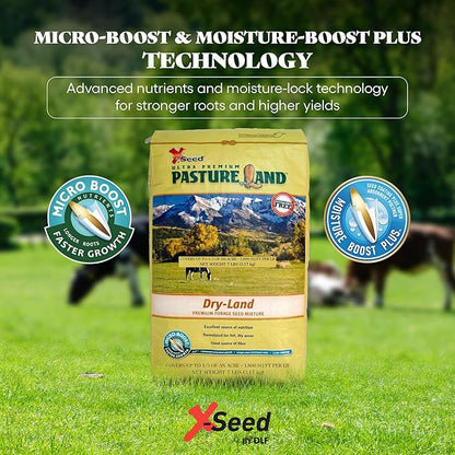 X-Seed Pasture Land Dry-Land Forage Seed Mixture with Micro-Boost – Tall Fescue Orchard Grass Ryegrass Endophyte Free Pasture for Safe Nutrition of Livestock, Formulated for Dry Areas – 7-Pound Bag