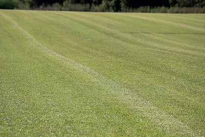 Centipede Grass Seed for a Dense Green Lawn, NO Mulch, 1 lb Coated Seeds, Sun and Moderate Shade Tolerant Lawn Seeding and Turf Patch Repair, Southern Southeast US, Low Fertilizer Low Maintenance