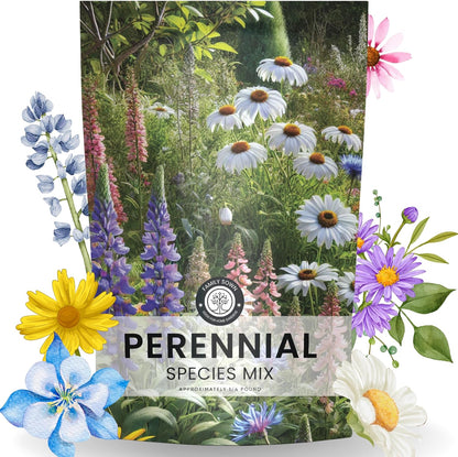 Perennial Species Mix - Bulk 1/4 Pound Pouch - 60,000 Flower Seeds for Planting - Wildflower Mix