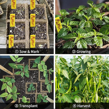 200Cells Seedling Start Trays with Drain Holes,20pcs Peat Pots Seedling Pots Biodegradable,Seedling Starter Kit,Organic Germination Plant Starter Trays(200xLabels,2xTransplant Tools,1xSpray Bottle)