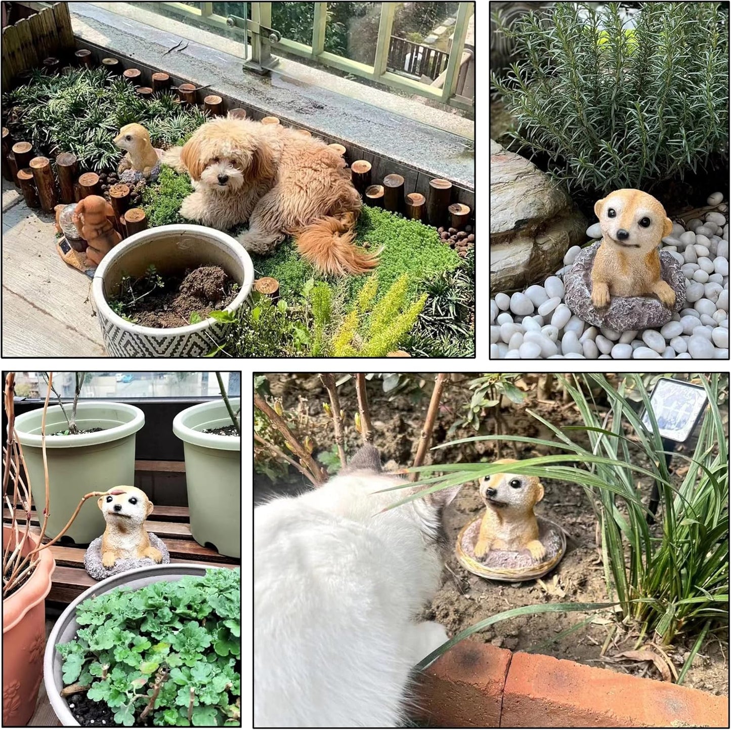 Meerkat Statue Garden Decor Lawn Animal Sculpture Ourdoor Decoration Funny Yard Ornaments Resin Figurine for Garden or Home 5.3inch