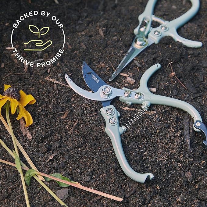 Modern Sprout Hand Pruners & Shears Set - Lightweight Gardening Tools W/Easy Lock - Sharp Carbon Steel Blades -Rust Resistant Scissors for Herbs, Flowers - Reusable Holster - Chartreuse