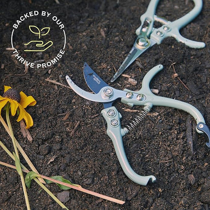 Modern Sprout Hand Pruners & Shears Set - Lightweight Gardening Tools W/Easy Lock - Sharp Carbon Steel Blades -Rust Resistant Scissors for Herbs, Flowers - Reusable Holster - Chartreuse