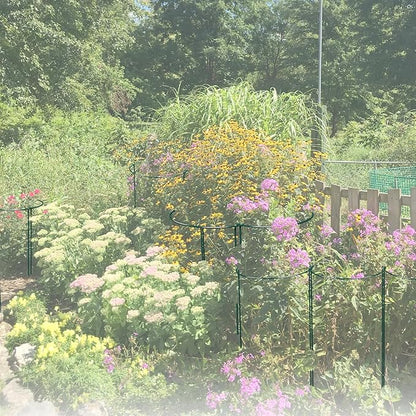 12 Pack 24 inch Plant Support Stakes, Half-Round Metal Garden Flower Stakes, Large Peony Support Ring and Cage for Indoor and Outdoor Plants, Hydrangea, Tomato, Rose, Monstera with Plant Ties