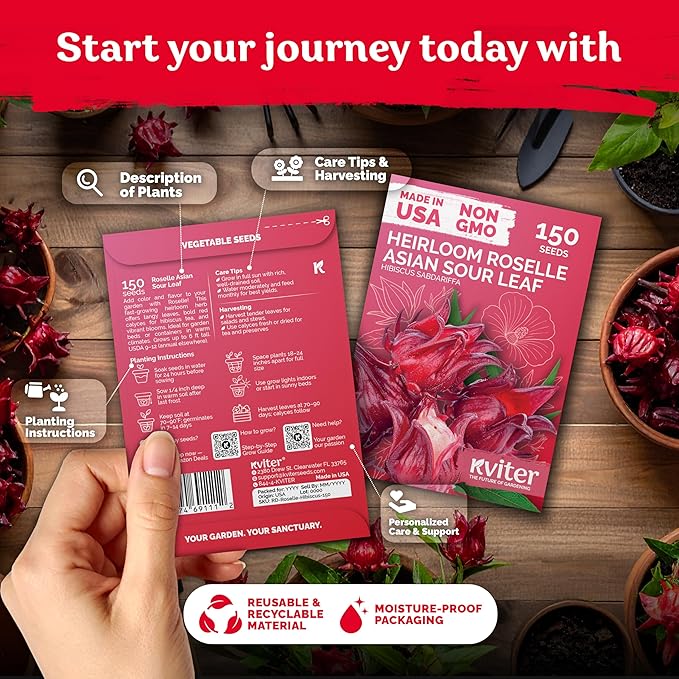 KVITER 150 Roselle Seeds for Planting (Hibiscus Sabdariffa) – Jamaican Sorrel/Cranberry Hibisco Seeds/Gongura Seed/Sour Leaf Seed – Perfect for Hibiscus Tea Organic, Outdoor & Indoor Garden