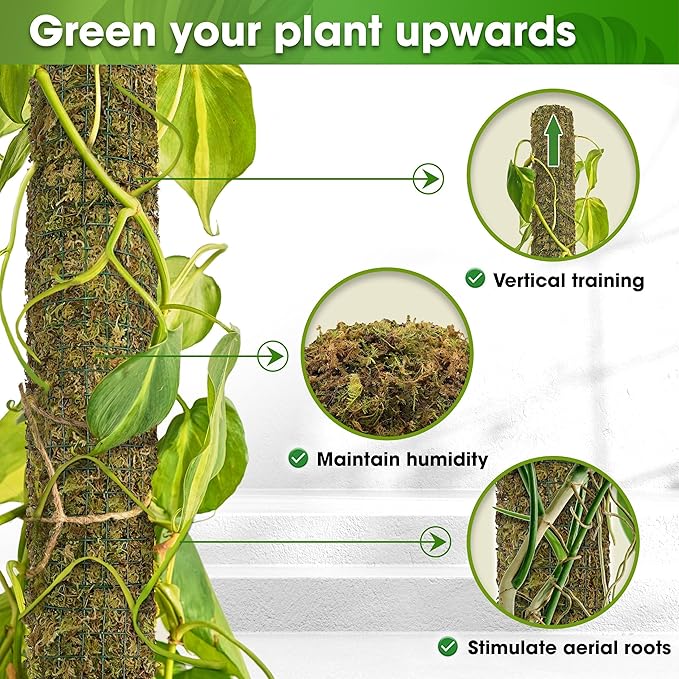 DUSPRO DIY Moss Pole Kit, Metal Moss Pole for Plant Monstera, Pothos, Philodendron, 1pc 8.6’’ x 6.5 ft Wire Moss Pole Mesh with Forest Moss, Cable Zip Ties, Gloves