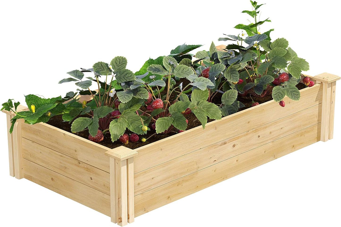 Greenes Fence Original Cedar Raised Garden Bed, 2' x 4' x 10.5" (3-Pack) - Made in USA with North American Cedar