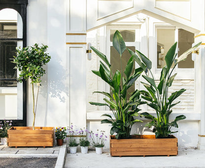 Wooden Raised Garden Bed Planter Box – Fir Wood Outdoor Vegetable, Herb & Flower Box with Drainage Holes – 47.24"x15.75"x12.6", Rot-Resistant, for Patio, Yard, Balcony