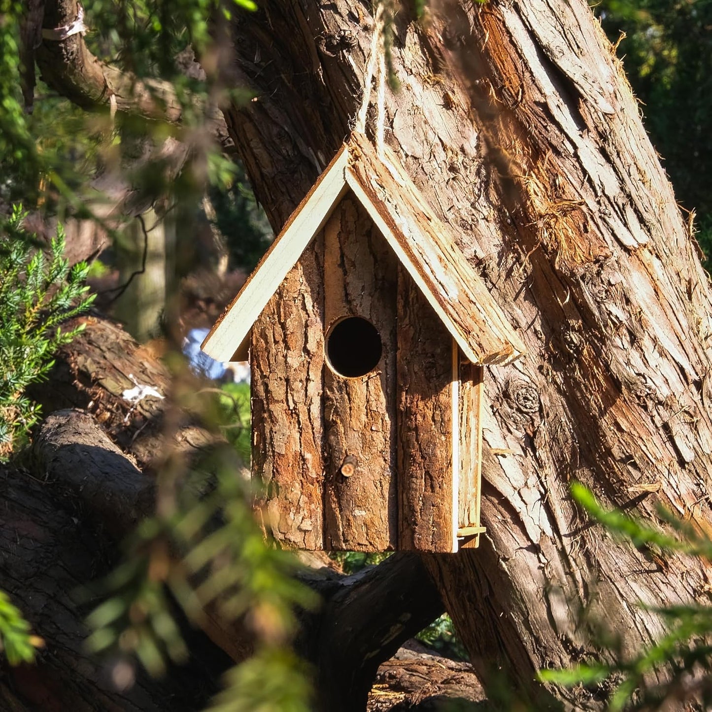 Natural Wooden Bird House for Outdoors – Handcrafted Bark Design, Weatherproof Roof, Perfect for Small Birds, Finch, Bluebird, Wrens & Chickadees, Ideal for Gardens, Patios, and Backyards