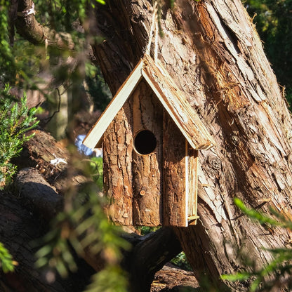 Natural Wooden Bird House for Outdoors – Handcrafted Bark Design, Weatherproof Roof, Perfect for Small Birds, Finch, Bluebird, Wrens & Chickadees, Ideal for Gardens, Patios, and Backyards