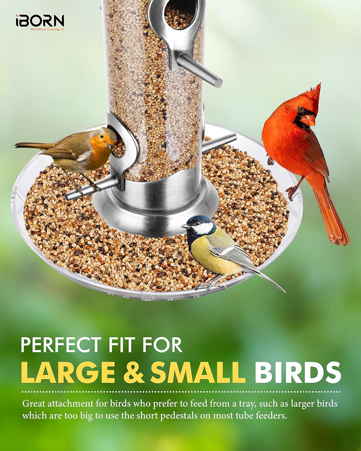 iBorn Bird Feeders Seed Catcher for Outside Hanging 6 Port Bird Feeder for Cardinal Birds Aluminium Metal,Brushed Nickle Finishing 14 Inch 6 Port (Seed is not Included)