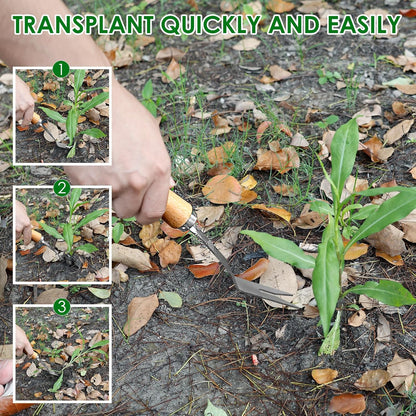 4 Pack Weed Puller Tool, Stainless Steel Hand Weeder Tool, Crevice Weeding Digger Tool, Gardening Tools for Cracks, Driveways, Lawn Edger, Moss Removal