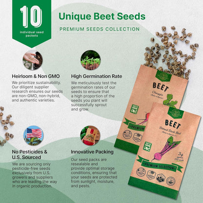 Organo Republic 10 Rare Beet Seeds Variety Pack for Planting Indoor & Outdoors 1625+ Heirloom Non-GMO Bulk Beets Gardening Seeds: Chioggia, Detroit Dark Red, Sugar, Cylindra, Bulls Blood, White Albino