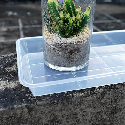 6 Pack of Plastic Plant Tray Saucer Rectangular 14 inch, Planter Trays Saucers for Indoors Outdoor, Plant Water Drip Tray for Flower Pot Planter, Windowsill Trays (6.8 X 14.5'', Clear)