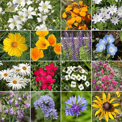 Ferry-Morse Pacific Northwest Mix Bulk Wildflower Seeds, 1lb Bulk Wildflower