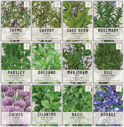 Seed Needs, Culinary Herb Seed Packet Collection Seed Starting Bundle (Includes 12 Individual Seed Packets, 36 Starter Pots & 1 Expandable Coco Coir Brick) Heirloom, Non-GMO, Untreated