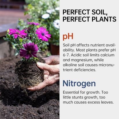 AAwipes Soil pH & Nitrogen Test Kits 2 in 1 Soil Testing Kits with Test Tube 100 Pcs Test Soil for Garden Lawn Grass Flower Vegetable Compost Nutrients Plants (J02-100)